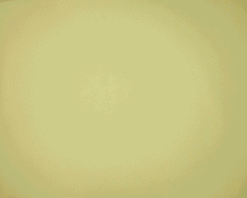 From newborn to preschool