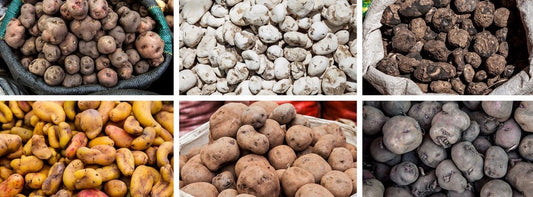 Social Fabric 2018.07.16