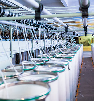 Spinning the Cotton into Yarns(9 months ago)