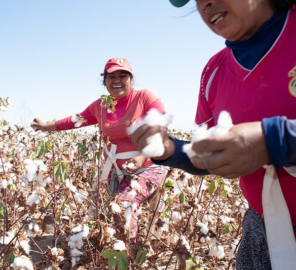 organic pima cotton from Peru - fair trade