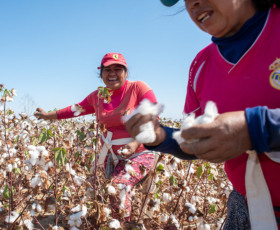 organic cotton farming good for people